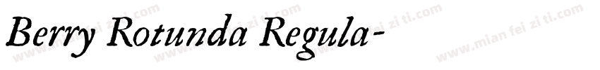 Berry Rotunda Regula字体转换